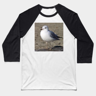 Sea Gull on English Beach, Vancouver, Canada Baseball T-Shirt